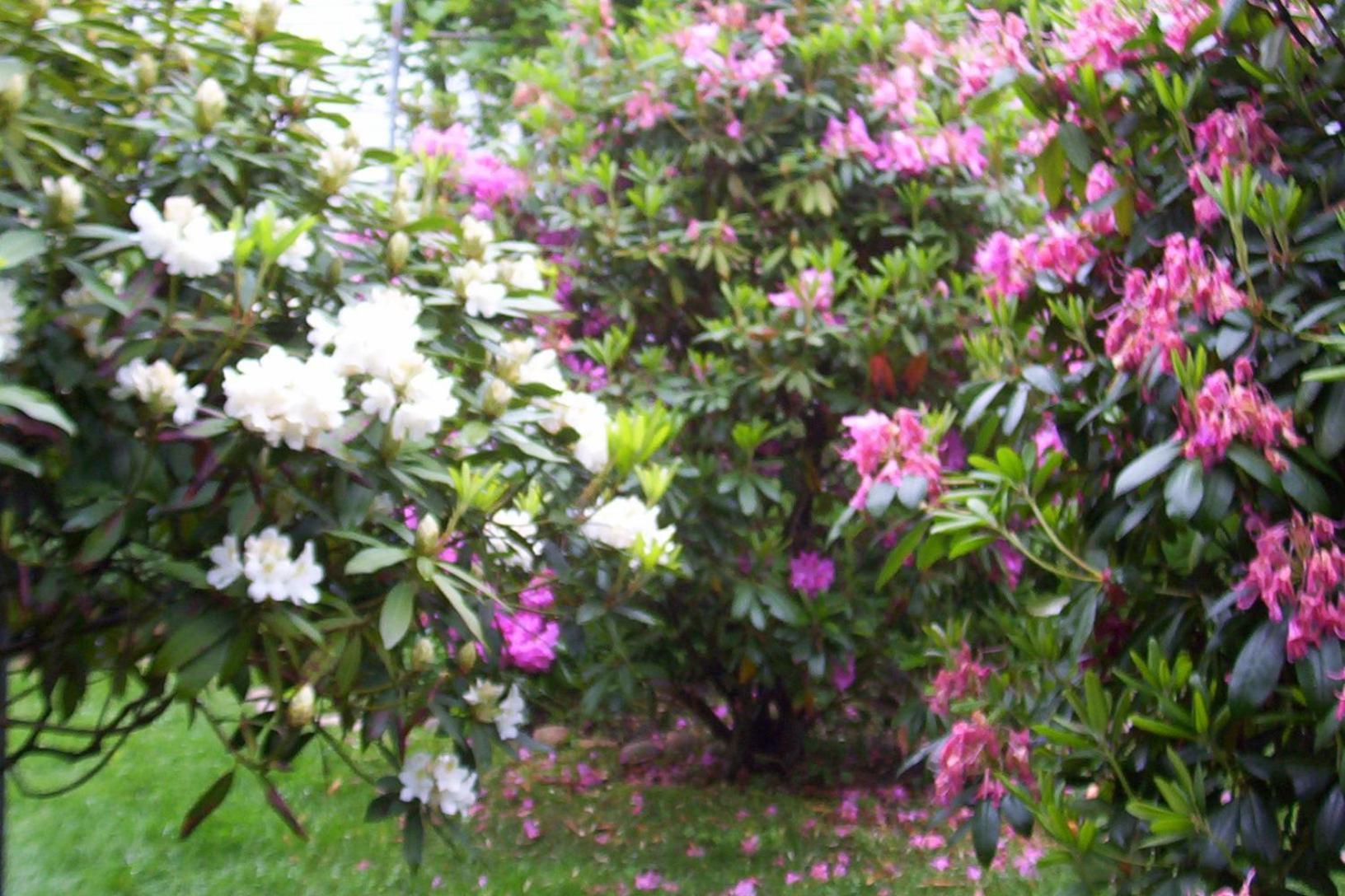 Arbor View House Bed And Breakfast East Marion Esterno foto