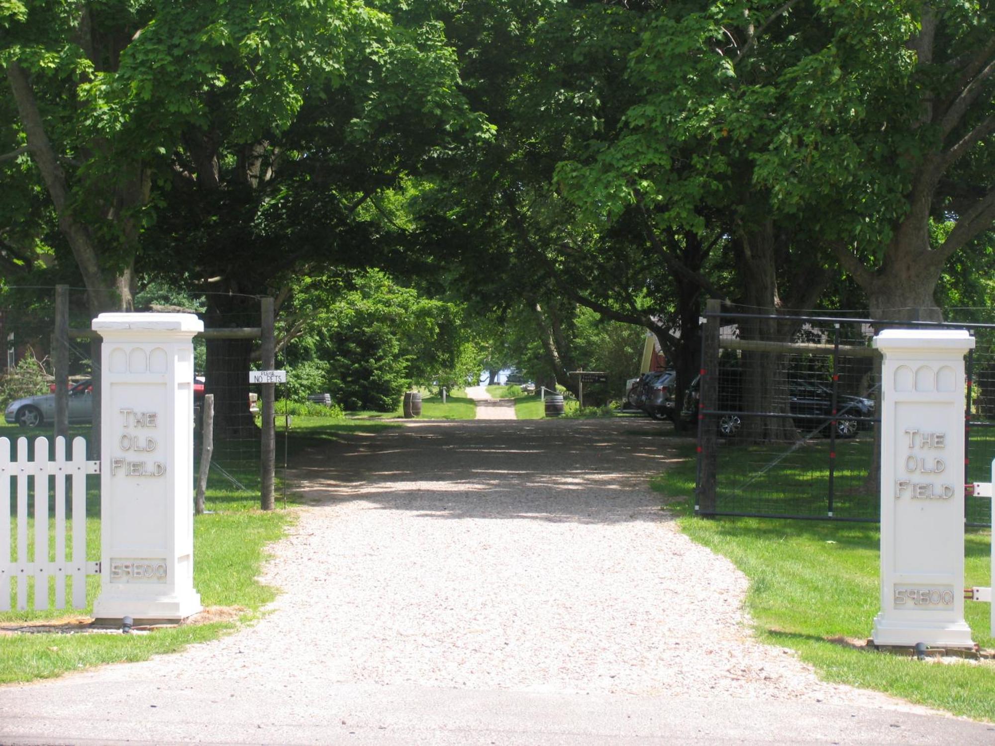 Arbor View House Bed And Breakfast East Marion Esterno foto
