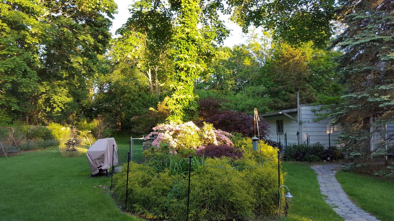 Arbor View House Bed And Breakfast East Marion Esterno foto
