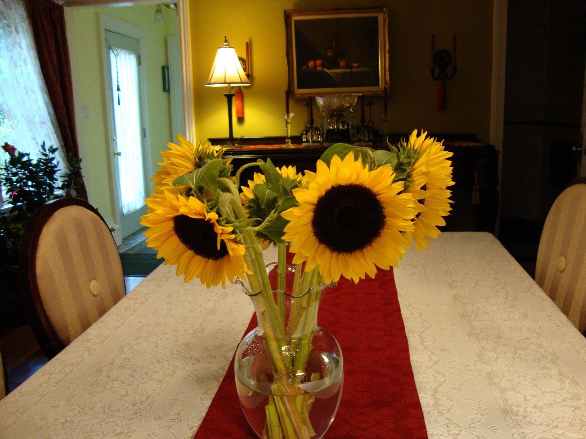 Arbor View House Bed And Breakfast East Marion Esterno foto